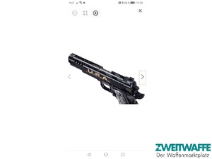 1911A1 Trump Fight - 2