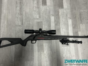 Winchester XPert 22lr