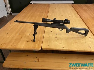 Winchester Wildcat - 2