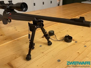 Winchester Wildcat - 3