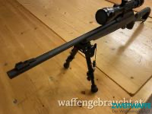 Winchester Wildcat - 5